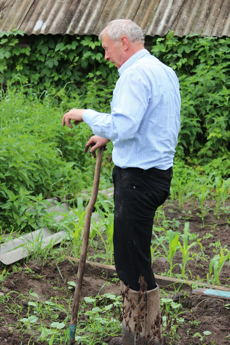 Gardening & Yard Work